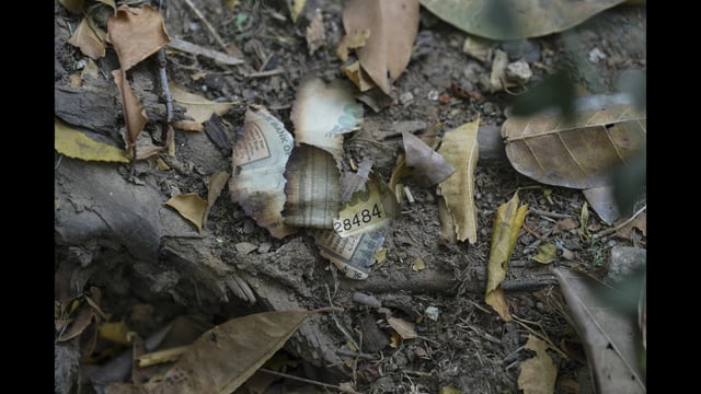 Burnt pieces of a currency note seen among debris near the residence of Delhi High Court judge Justice Yashwant Varma, in New Delhi. (PTI)