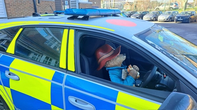 The stolen Paddington in a police car after it was recovered from one of the thieves