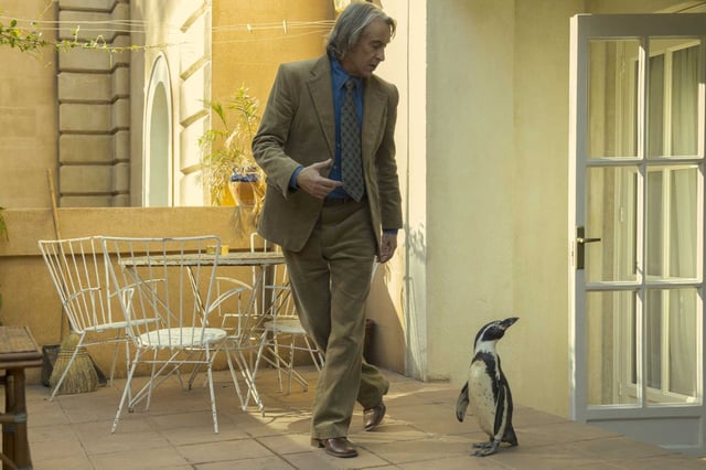 Steve Coogan as Tom Michell, from left, and Baba/Richard the penguins as Juan Salvador in “The Penguin Lessons.”