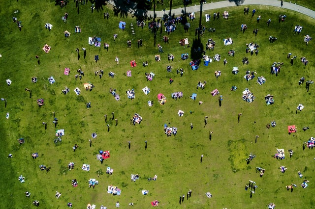 Overhead view of people in a city park on a summer day.
