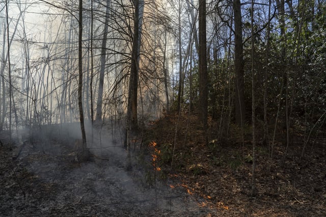 The Deep Woods Fire is seen on March 23, 2025, in Saluda, North Carolina.
