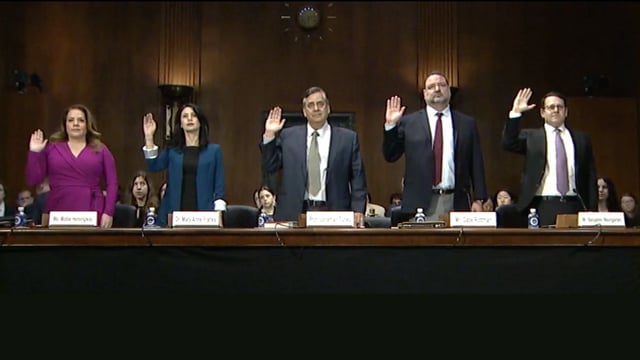 Mollie Hemingway testifies