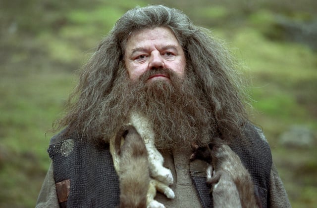 Robbie Coltrane as Hagrid.