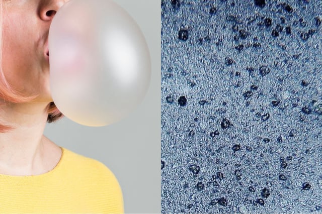 © Left image: Freepik. Right image: Dantor (talk) 20:55, 18 November 2013 (UTC), CC BY-SA 3.0, https://creativecommons.org/licenses/by-sa/3.0, via Wikimedia Commons
