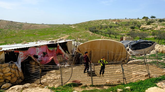  Hamdan Ballal's family keeps goats and chickens on their land in the village of Susya, in the occupied West Bank.