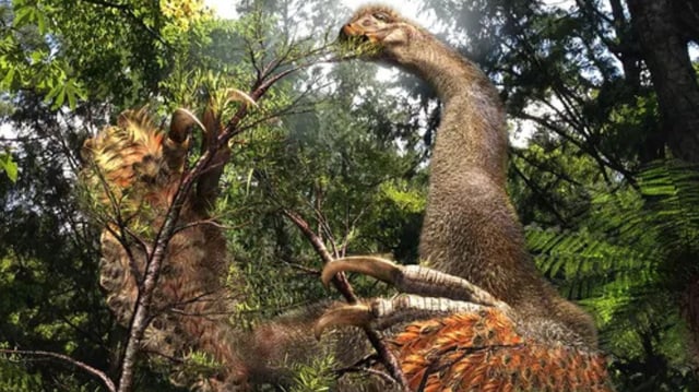 Duonychus tsogtbaatari is the name given to this new, giant, two-legged dinosaur that consumed plants.