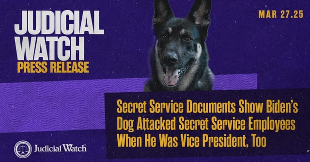 Biden dog