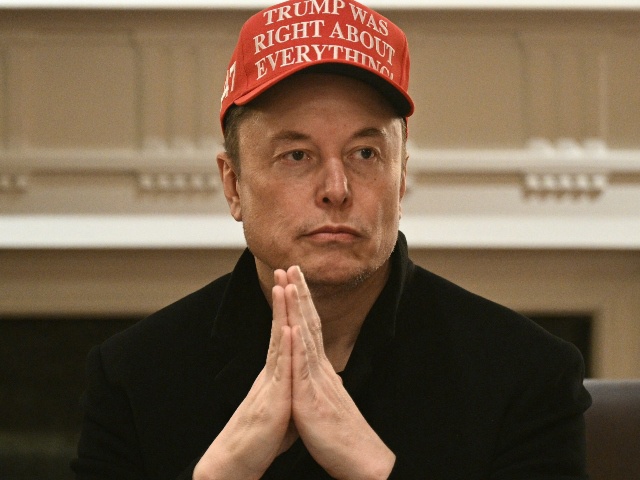 Elon Musk looks on as US President Donald Trump hosts a cabinet meeting in the Cabinet Room of the White House on March 24, 2025, in Washington, DC. (Photo by Brendan SMIALOWSKI / AFP)