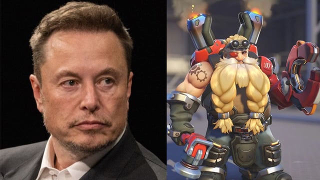 elon musk overwatch