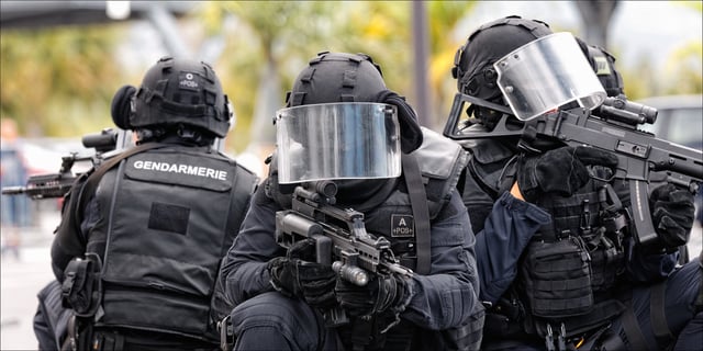 Le septuagénaire «voulait visiblement en finir» mais les forces de l’ordre ont réussi à l’interpeller sans le tuer ni se faire blesser, a souligné la procureure, louant leur sang-froid.
