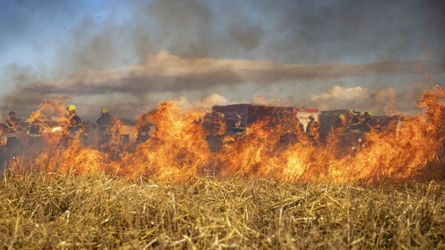 Silver Fire has spread to 1,000 acres near Bishop in California. 