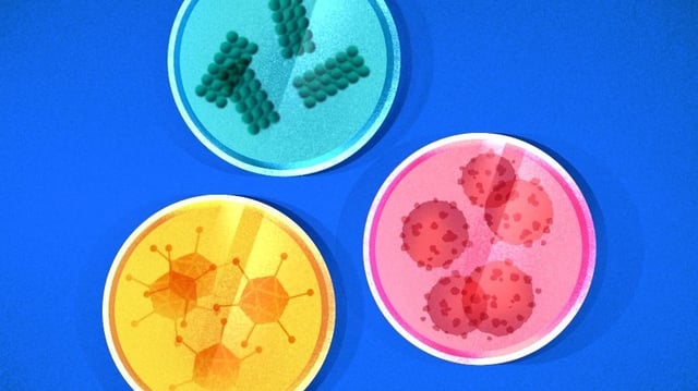 Illustration of petri dishes with various viruses. [Dom Guzman]