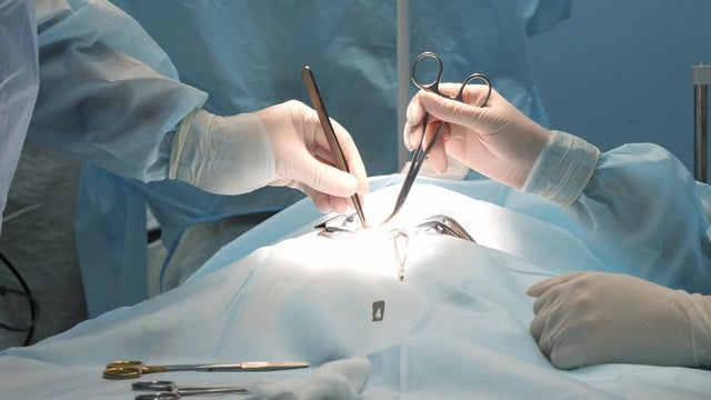 The Royal College of Veterinary Surgeons said Johnson had breached the most fundamental tenets of the profession