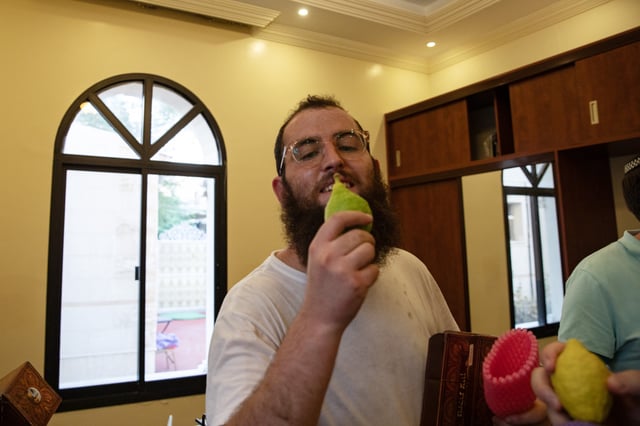Rabbi Zvi Kogan holds an etrog, a lemon-like citrus fruit, as he and colleagues put together the four species needed during the celebration of Sukkot on September 20, 2021 in Dubai, United Arab Emirates.
