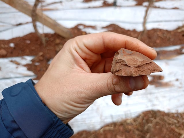 Did Neanderthals make it as far east as China? Discovery of stone tools suggests it’s a possibility