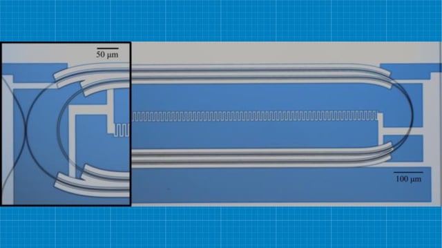 Optical micrograph of the microwave-optical quantum transducer.