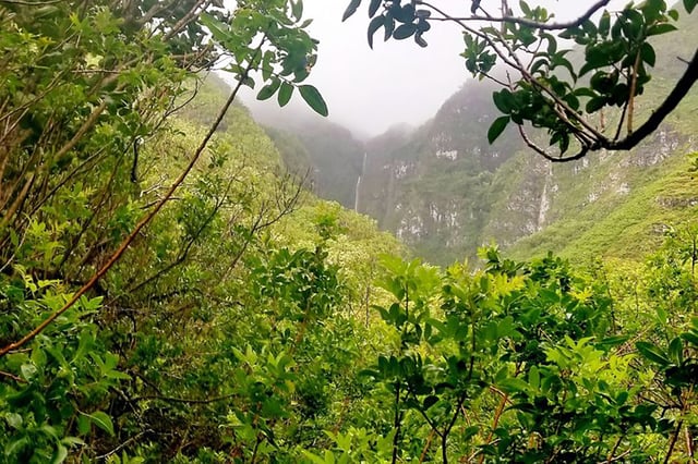 A view of Makaleha Falls Trail in Kapaa, Hawaii.
