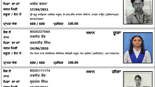 PSEB Class 8 Result 2025 out, check pass percentage & toppers list here 