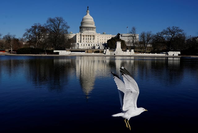 A bird flies near the U.S. Capitol building in Washington, D.C., U.S., February 25, 2025. REUTERS/Nathan Howard/File Photo