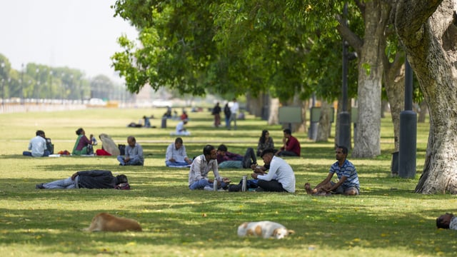 People take rest under a tree on a hot summer day at the Kartavya Path lawn in New Delhi on Monday, April 7, 2025.