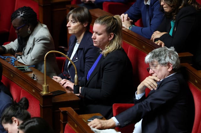 Immigration: LFI veut constitutionnaliser le droit du sol