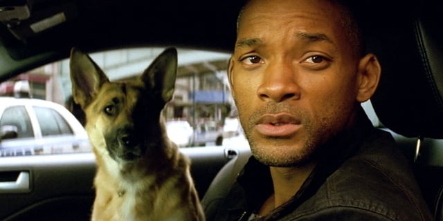 Will Smith as Robert Neville and his German Shepherd Sam look out the window of the car.