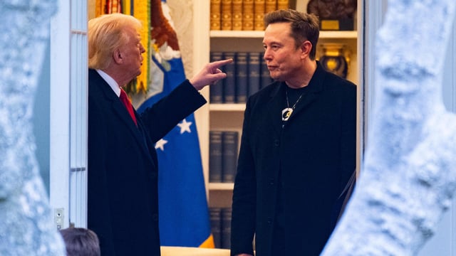 Elon Musk recently attended a right-wing conference in Italy advocating for zero tariffs between the US and the EU. “That has certainly been my advice to the president,” he told the attendees.