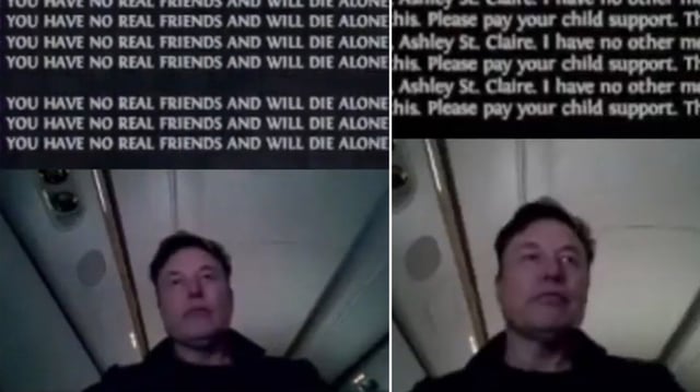 Elon Musk Getting Cyberbullied in Stream Chat
