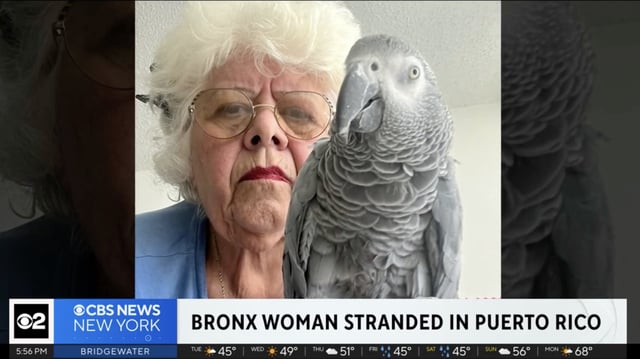 Maria Fraterrigo and Plucky