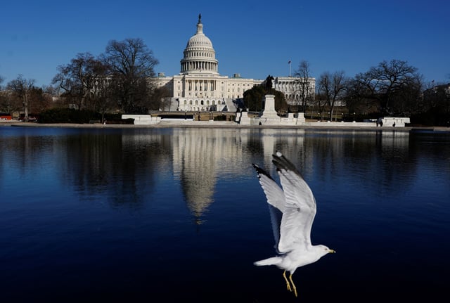 A bird flies near the U.S. Capitol building in Washington, D.C., U.S., February 25, 2025. REUTERS/Nathan Howard
