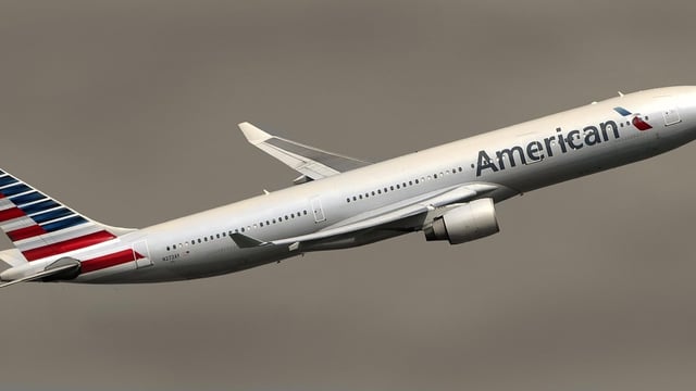 An American Airlines flight bound for Milan was forced to divert back to New York after an unruly passenger became furious over meal choice