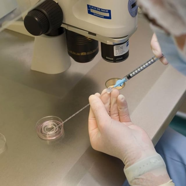Die Klinik führte die Verwechslung des Embryos auf einen menschlichen Fehler zurück (Symbolbild).