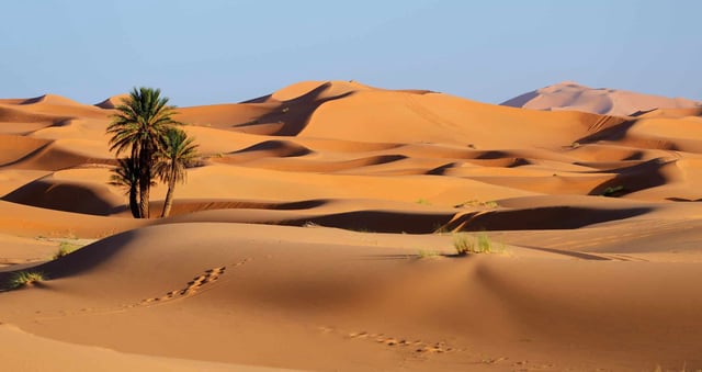 Sand dunes of Sahara desert in Morocco. (© Alexmar - stock.adobe.com)