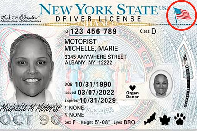 NY DMV