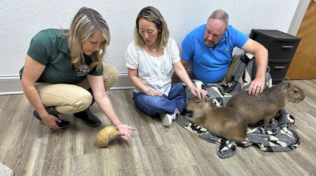 Stephanie Angel, left, shows off an armadillo to visitors at the Capybara Cafe in St. Augustine, Fla., March 14, 2025. (AP Photo / Mike Schneider)