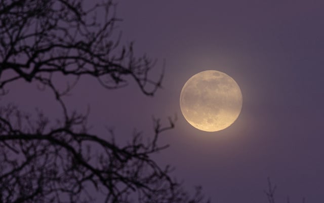 HOLCOMBE, UNITED KINGDOM - FEBRUARY 05: The full  Snow Moon rises behind leafless trees on February 5, 2023 in Somerset, England. Tonight's full Snow Moon will be the smallest full moon of the year, making this Snow Moon a micromoon, which is the opposite of a supermoon. (Photo by Matt Cardy/Getty Images)