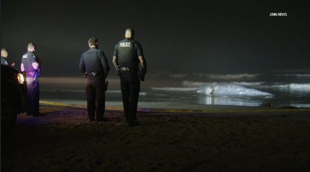 A dead whale washed ashore in Huntington Beach on Friday, April 11, 2025. The cause was not immediately known. (Photo by KNN)