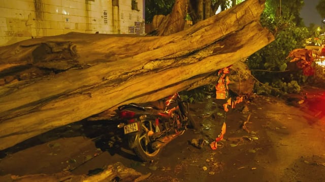 Bike crushed by a collapsed tree in Delhi after dust storms on April 11, 2025