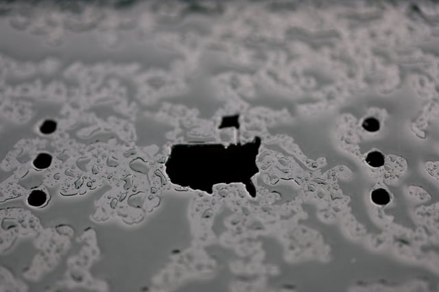 Golf - The Masters - Augusta National Golf Club, Augusta, Georgia, U.S. - April 7, 2025 The Masters logo is seen with raindrops during a practice round REUTERS/Mike Segar/File Photo