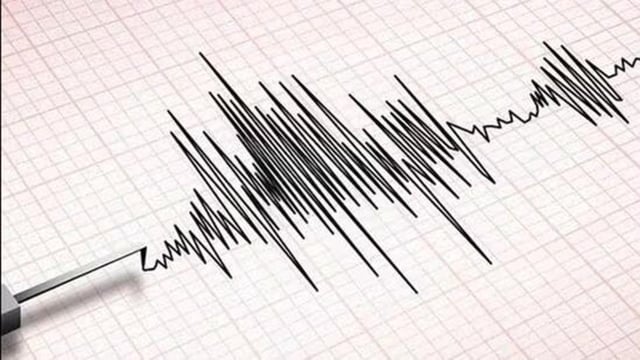 Tremors were felt in Mandi and neighbouring areas in Himachal Pradesh. 