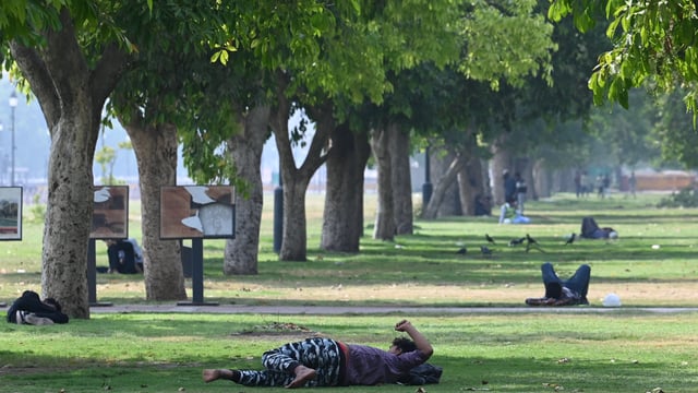 People resting under tree shade at Kartavya Path lawns in the afternoon in Delhi on Saturday, April 12.