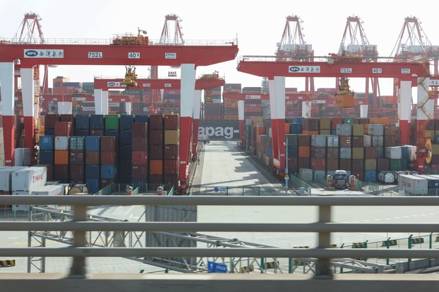 Gantry cranes stand near shipping containers at Yangshan Port outside of Shanghai, China, February 7, 2025.  REUTERS/Go Nakamura/File Photo