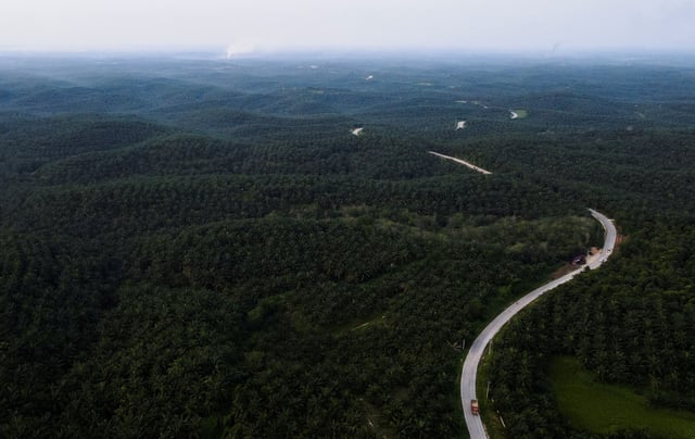 General view of palm oil plantation in Siak regency, Riau province, Indonesia, April 26, 2022. Picture taken with a drone April 26, 2022. REUTERS/Willy Kurniawan/File Photo