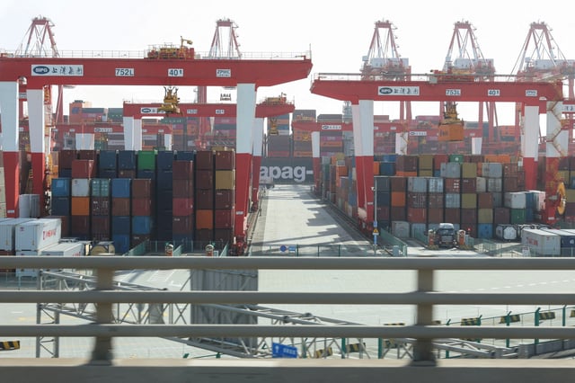 Gantry cranes stand near shipping containers at Yangshan Port outside of Shanghai, China, February 7, 2025.  REUTERS/Go Nakamura/File Photo
