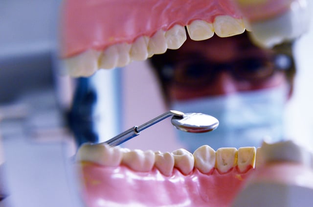 File photo of a dentist looking at a dental model of a set of teeth in Minden, Germany, 21 November 2016.