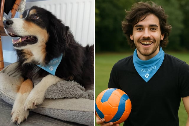 A sample of a dog transformed into a human likeness by ChatGPT.