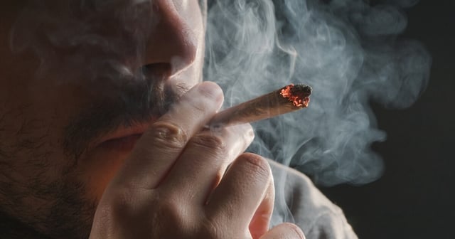 Despite some positives, a new study adds to the growing data that suggests too much cannabis is bad for your health