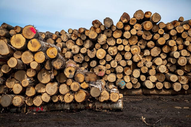 Wood for processing is stacked at the C.A. Spencer sawmill on April 10, 2025, in Lachute, Canada.