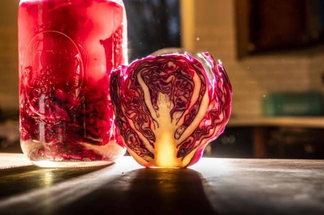 A new UC Davis study shows that having fermented food like sauerkraut could be good for gut health. (Credit: Hector Amezcua / UC Davis)