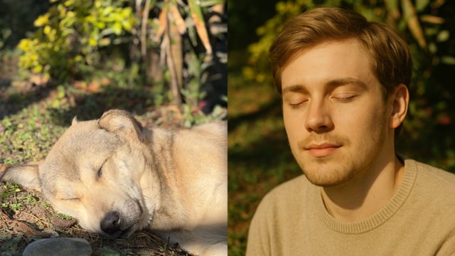 Social media users are increasingly utilizing ChatGPT to transform their pets into human versions. 